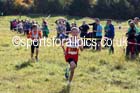 Under-11s, North East Harrier League, Cramlington. Photo: David T. Hewitson/Sports for All Pics